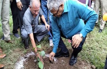 Plantation in Pithoragarh