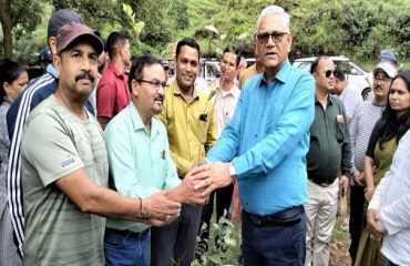 Plantation in Pithoragarh