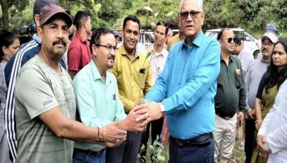 Plantation in Pithoragarh