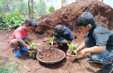 World Environment Day 0n 5th June 2025