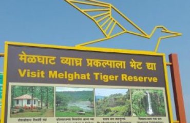 melghat tiger reserve