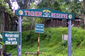 मेळघाट व्याघ्र प्रकल्पाचे स्वागत द्वार