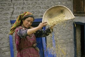 प्रतिमेचे नाव ७ ऑल्ट