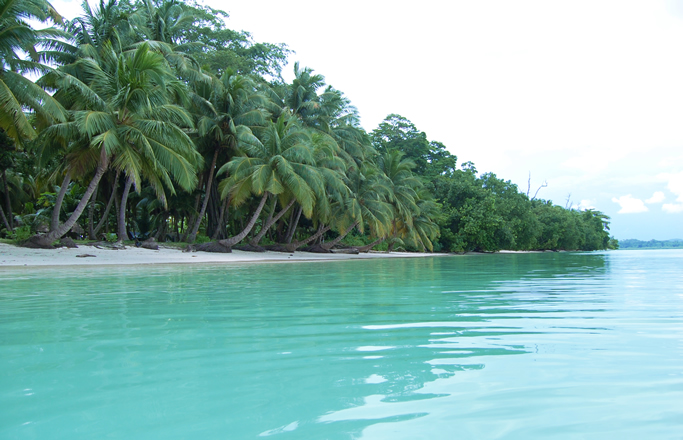 Vijaynagar Beach, Havelock