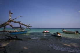 Elephant Beach