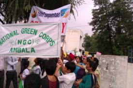 National Green Corps