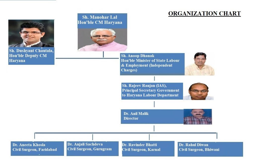 Organisation Chart