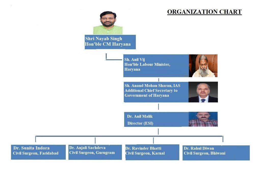 organization chart