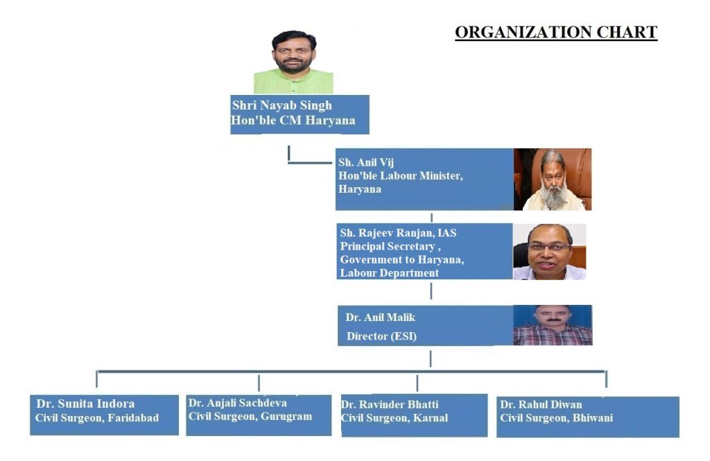 organisation chart
