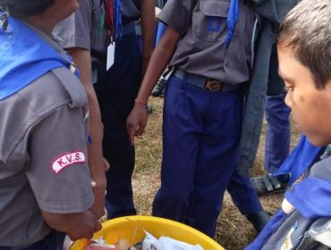 scouts