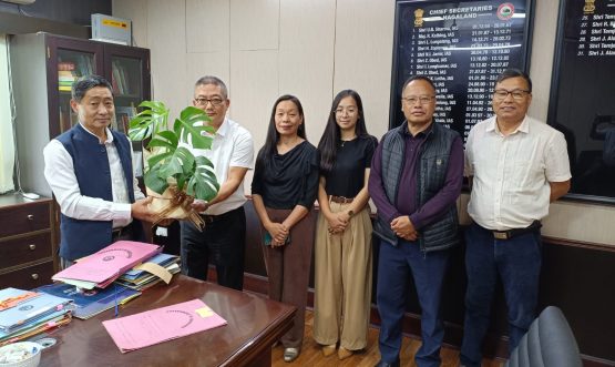 SIO NIC Nagaland and Colleagues with the CS of Nagaland Shri. Sentiyanger Imchen, IAS