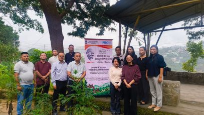 Weeding and Maintenance of the Tree Plantation Area