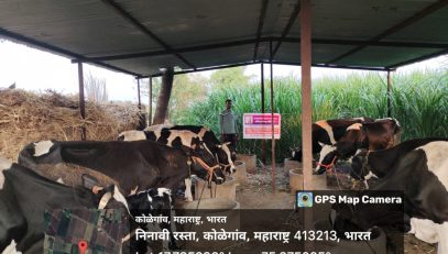 लाभार्थी / व्यवसाय स्थळाचे छायाचित्र