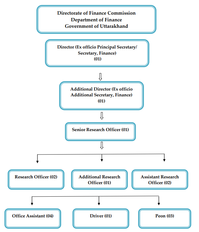 Organisation Structure