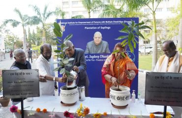 Plantation of saplings by Hon'ble Vice President of India