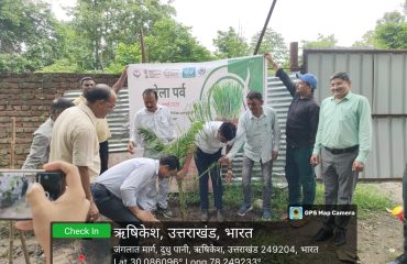 Harela festival 2025