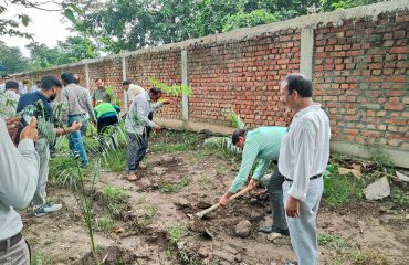 Harela festival 2025