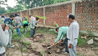 Harela festival 2025