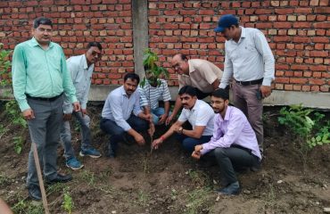 Harela festival 2025