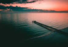 Image Alt 3