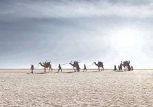rann of kutch Image