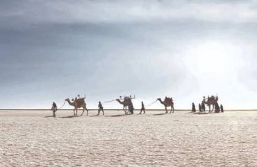rann of kutch Image