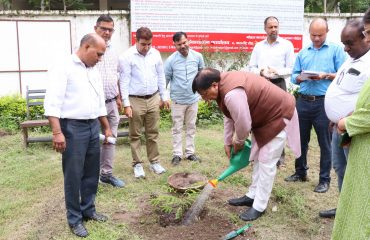 माननीय राज्यसभा सांसद नरेश बंसल जी द्वारा वृक्षारोपण