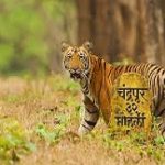 Chandrapur Chandrapur