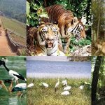 WhatsApp Image 2025-10-01 at 1.01.40 PM WhatsApp Image 2025-10-01 at 1.01.40 PM