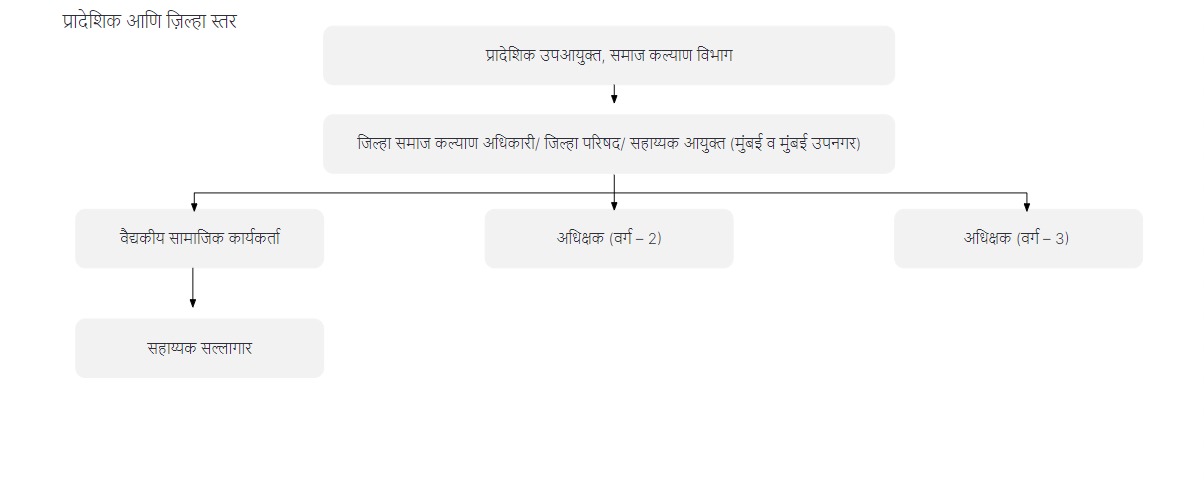 प्रादेशिक आणि ज़िल्हा स्तर 