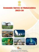 economic survey image