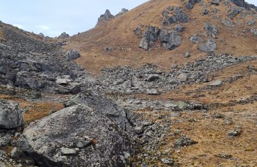 उत्तराखंड राज्य आपदा प्रबंधन प्राधिकरण का बचाव प्रशिक्षण