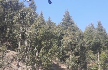 अंतरराष्ट्रीय आपदा न्यूनीकरण दिवस