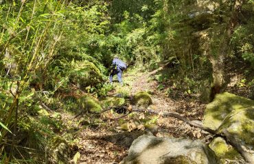 उत्तराखंड राज्य आपदा प्रबंधन प्राधिकरण का बचाव प्रशिक्षण