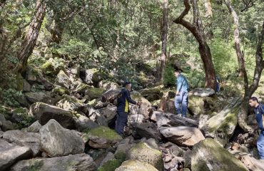 उत्तराखंड राज्य आपदा प्रबंधन प्राधिकरण का बचाव प्रशिक्षण