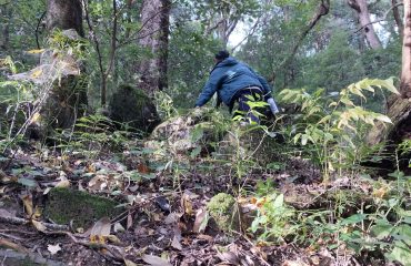 उत्तराखंड राज्य आपदा प्रबंधन प्राधिकरण का बचाव प्रशिक्षण