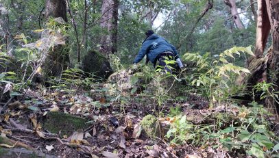 उत्तराखंड राज्य आपदा प्रबंधन प्राधिकरण का बचाव प्रशिक्षण