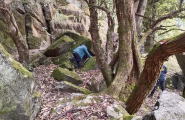 उत्तराखंड राज्य आपदा प्रबंधन प्राधिकरण का बचाव प्रशिक्षण