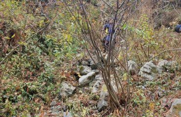 उत्तराखंड राज्य आपदा प्रबंधन प्राधिकरण का बचाव प्रशिक्षण