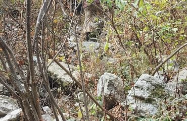 उत्तराखंड राज्य आपदा प्रबंधन प्राधिकरण का बचाव प्रशिक्षण