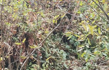 Rescue training of Uttarakhand State Disaster Management Authority