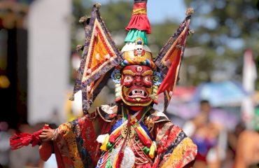 Image 15