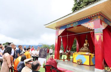 Image 12