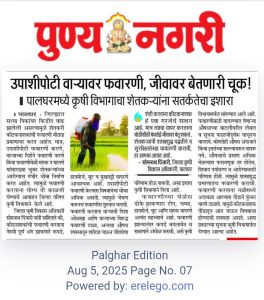 WhatsApp Image 2025-08-06 at 4.48.31 PM