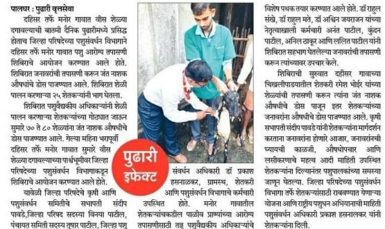 Goat inspection camp organized by Dahisar in Manor village