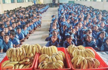 तलासरी जि.प. शाळा डोंगारी विलातपाडा