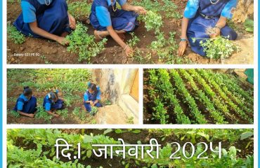 जि.प.-शाळा वसा मच्छीपाडा