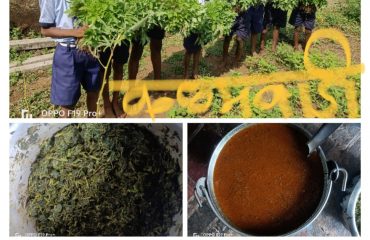 प्रधानमंत्री पोषण शक्ती निर्माण योजना, शालेय परसबाग-2