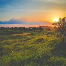 Jawhar Sunrise