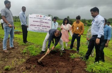Dahanu Taluka Falbag Lagwad